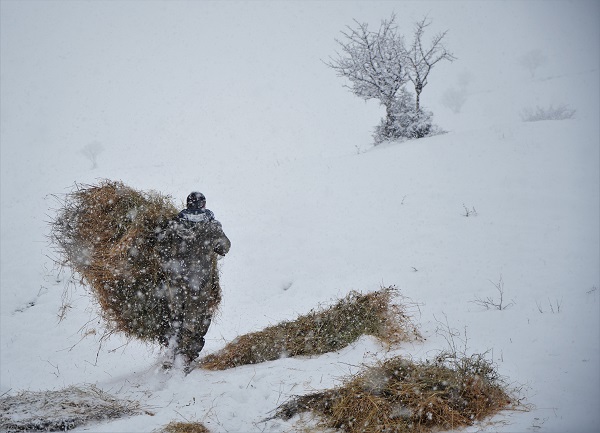 Foto - Besicilerin dondurucu soğukla imtihanı