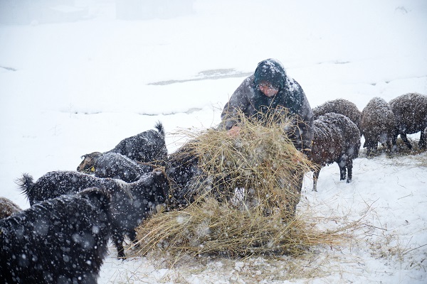 Foto - Besicilerin dondurucu soğukla imtihanı