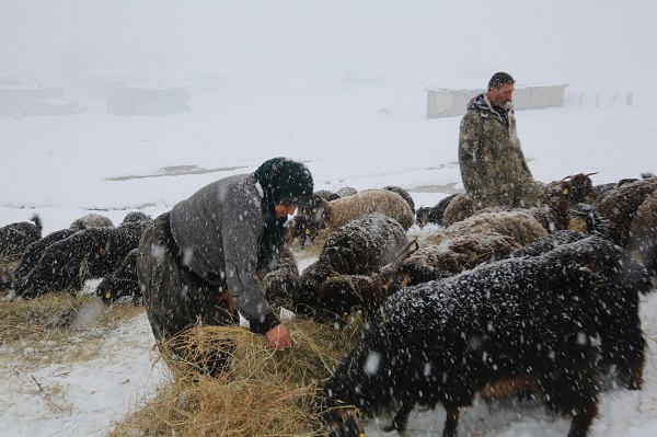 Foto - Besicilerin dondurucu soğukla imtihanı