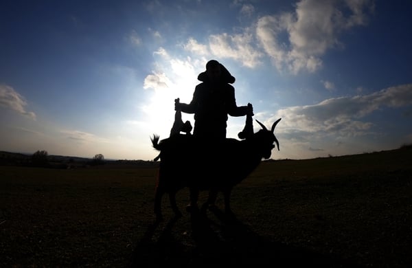 Foto - Besicilerin tatlı telaşı başladı