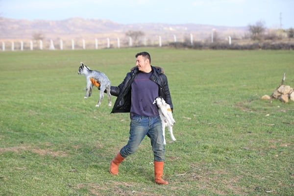 Foto - Besicilerin tatlı telaşı başladı