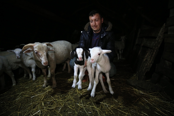 Foto - Besicilerin tatlı telaşı başladı