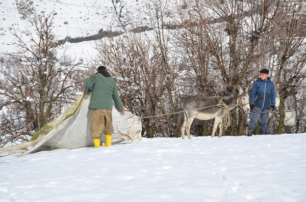 Foto - Besicilerin zorlu kış mesaisi