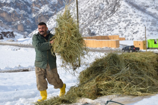 Foto - Besicilerin zorlu kış mesaisi