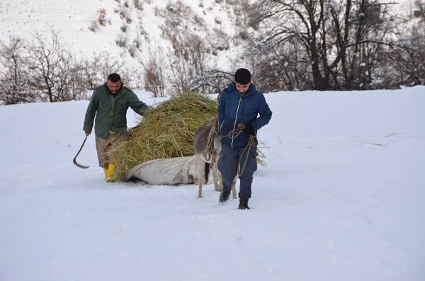 Besicilerin zorlu kış mesaisi