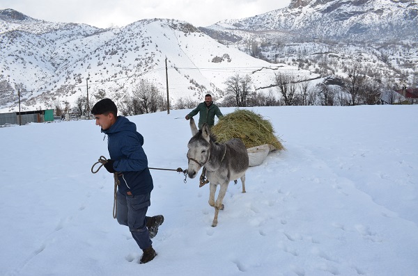 Foto - Besicilerin zorlu kış mesaisi