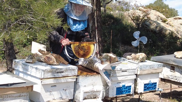 Foto - Besim Amca 25 yıl vatansız yaşadı! 