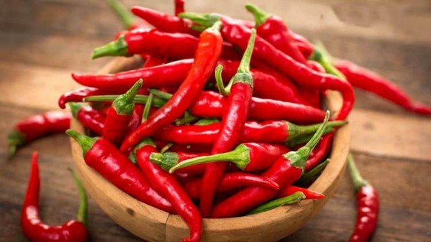 Foto - Besin değerleri en yüksek yiyecekler