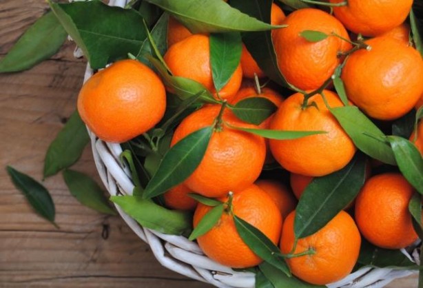 Foto - Besin değerleri en yüksek yiyecekler