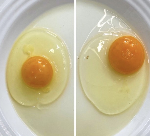 Foto - Besinlerin taze olup olmadığını anlamanın basit yolları