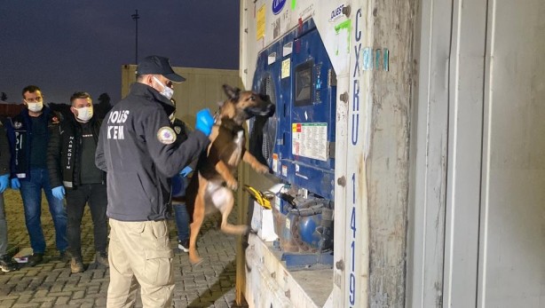Foto - Beslemeyin! Asın bu şerefsizleri