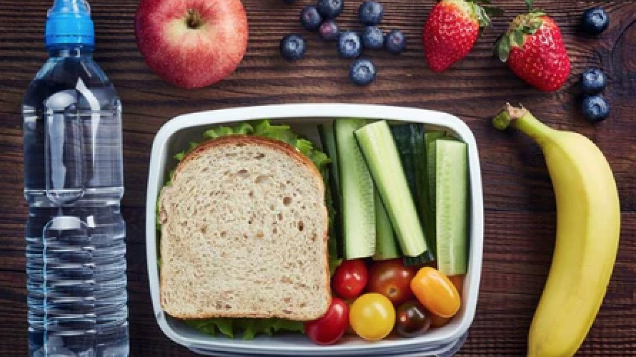 Foto - Beslenme çantasında sağlık İçin doğru seçimler! Sağlıklı, yeterli ve dengeli beslenme çantası nasıl olmalı?
