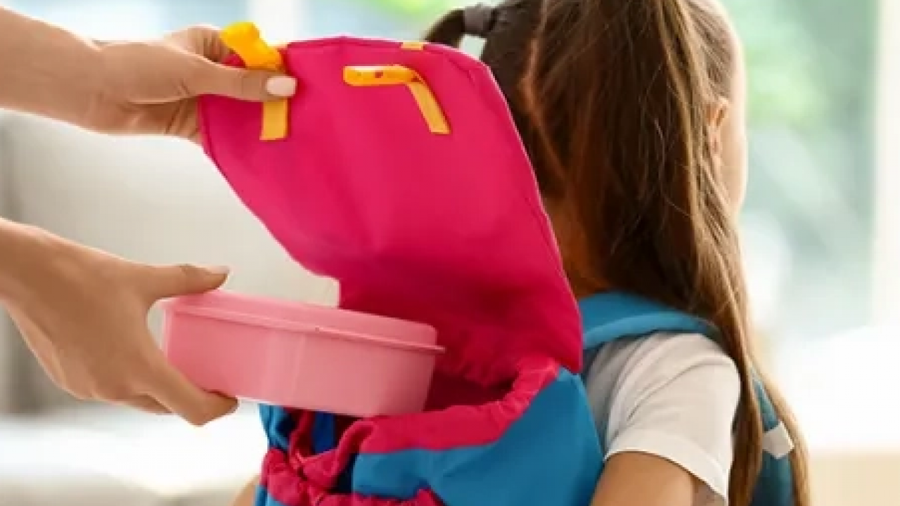 Foto - Beslenme çantasında sağlık İçin doğru seçimler! Sağlıklı, yeterli ve dengeli beslenme çantası nasıl olmalı?