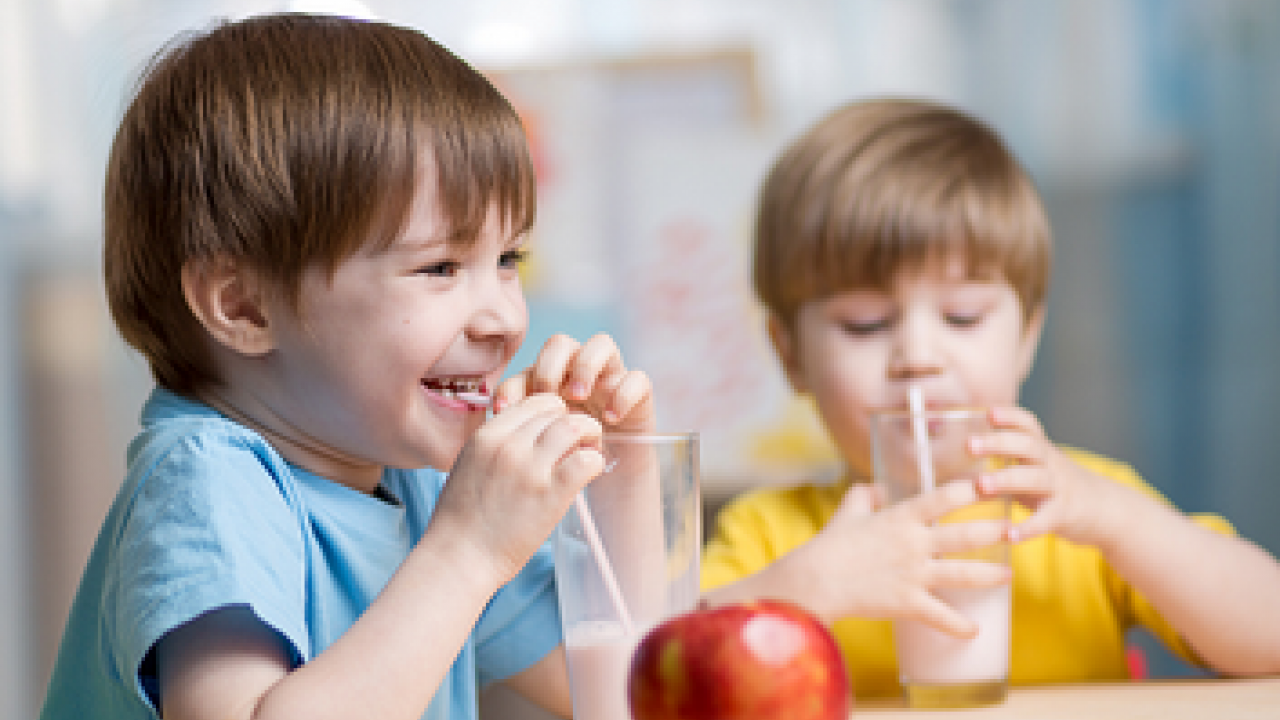 Foto - Beslenme çantasında sağlık İçin doğru seçimler! Sağlıklı, yeterli ve dengeli beslenme çantası nasıl olmalı?