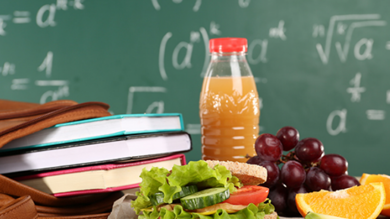 Foto - Beslenme çantasında sağlık İçin doğru seçimler! Sağlıklı, yeterli ve dengeli beslenme çantası nasıl olmalı?
