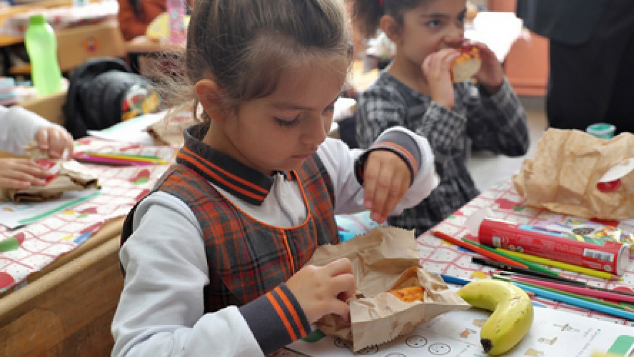 Foto - Beslenme çantasında sağlık İçin doğru seçimler! Sağlıklı, yeterli ve dengeli beslenme çantası nasıl olmalı?