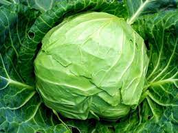 Foto - Beslenmede birçok ince tüyolar! Osman Müftüoğlu yazdı: Soğan, sarımsak ve lahana tüketin! Nasıl tüketilmeli, pişirilmeli? 