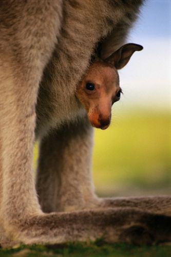 Foto - Besmelenin 6 sırrı