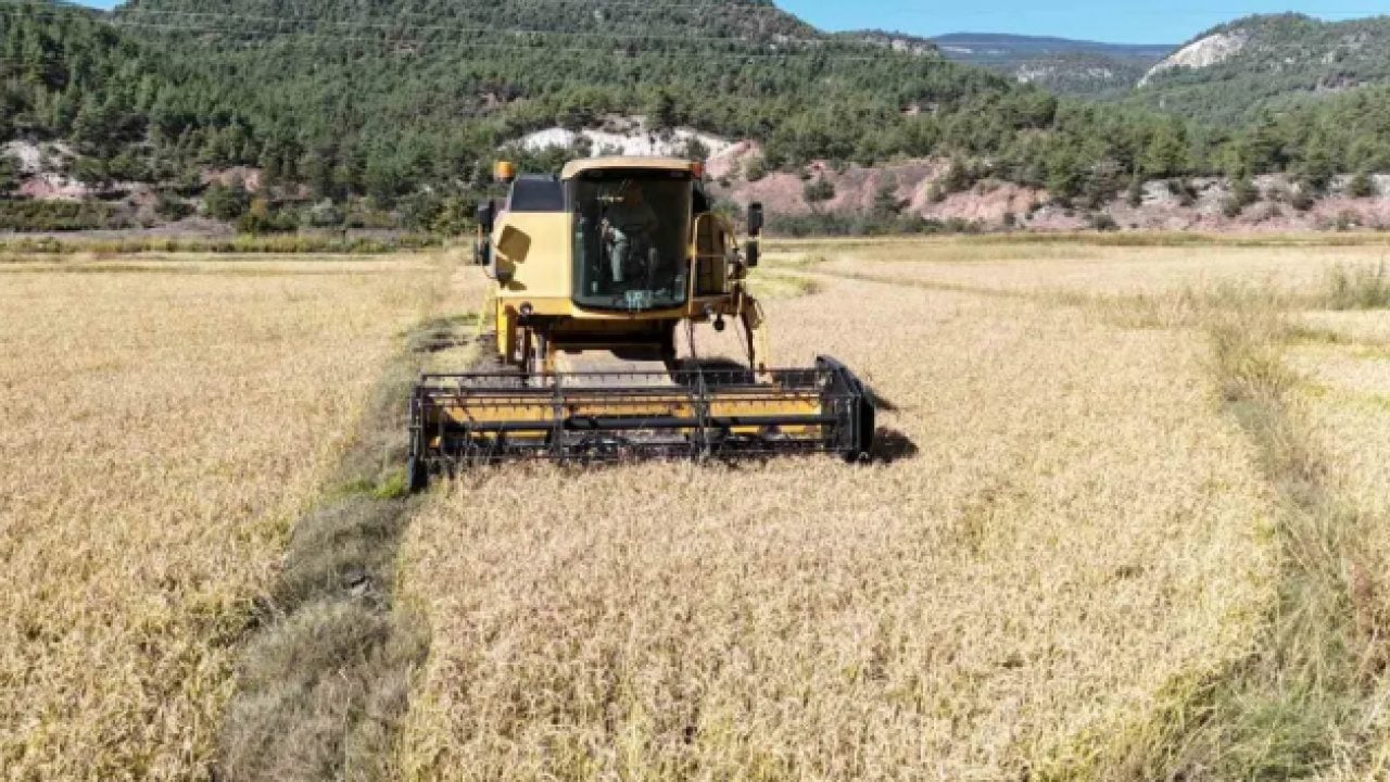 Foto - 'Beyaz altın'ın hasadı başladı: Fiyatı ne kadar olacak?
