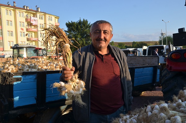 Foto - Beyaz altın pazara indi... İşte fiyatı!