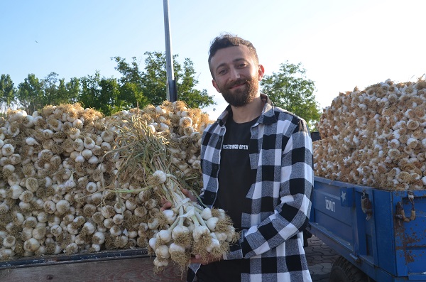 Foto - Beyaz altın pazara indi... İşte fiyatı!