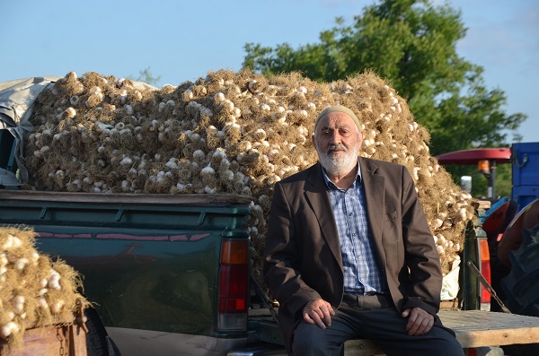Foto - Beyaz altın pazara indi... İşte fiyatı!