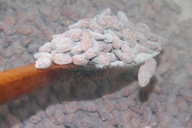 Foto - 'Beyaz altın'a yoğun talep! 3 saatte hazır hale geliyor