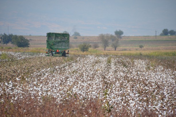 Foto - ‘Beyaz altın’da flaş gelişme