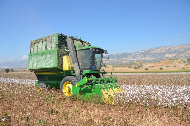 Foto - ‘Beyaz altın’da flaş gelişme