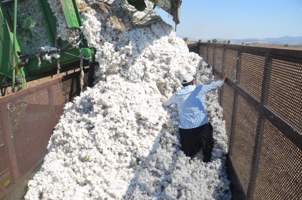 Foto - ‘Beyaz altın’da flaş gelişme