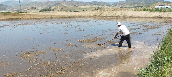 Foto - Beyaz altının zorlu yolculuğu