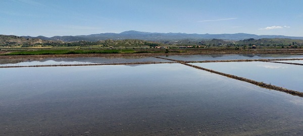 Foto - Beyaz altının zorlu yolculuğu