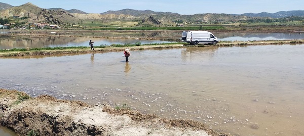 Foto - Beyaz altının zorlu yolculuğu