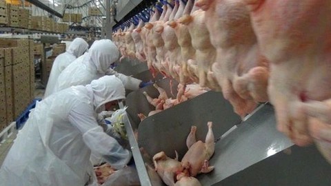 Foto - Beyaz et firması resmen devlete kafa tutuyor!