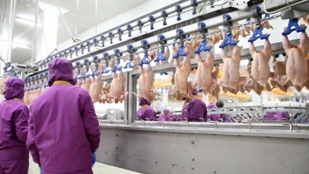 Foto - Beyaz et firması resmen devlete kafa tutuyor!