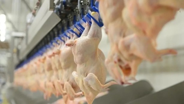 Foto - Beyaz et firması resmen devlete kafa tutuyor!