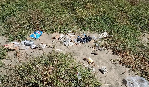 Foto - Beyaz gelinler can çekişiyor! Bu çiçeği koparmanın cezası 244 bin TL