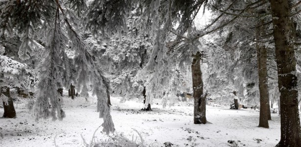 Foto - Beyaz örtüyle kaplanan Abant'ta kartpostallık muhteşem kareler