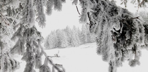 Beyaz örtüyle kaplanan Abant'ta kartpostallık muhteşem kareler