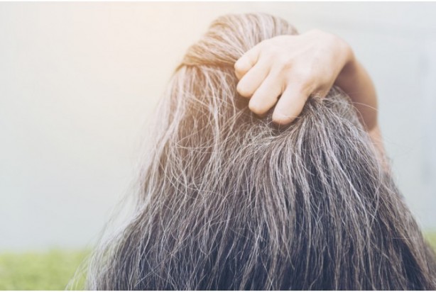 Foto - Beyaz saçlara veda ettiren kür