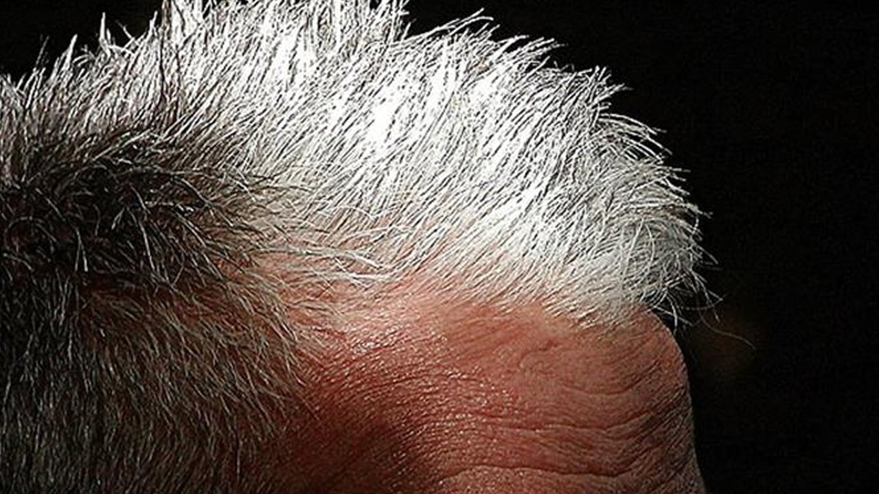 Beyaz saçları 1 gecede özüne döndüren İbn-i Sina’nın formülü: Boya değil bitkisel! 2026'da saç trendi