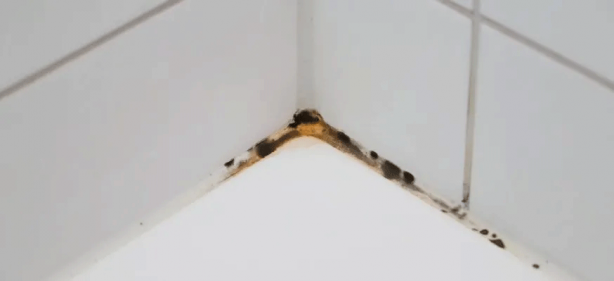 Foto - Beyaz sirkeyle asla temizlememeniz gereken 6 yer! Faydadan çok zarar veriyor…