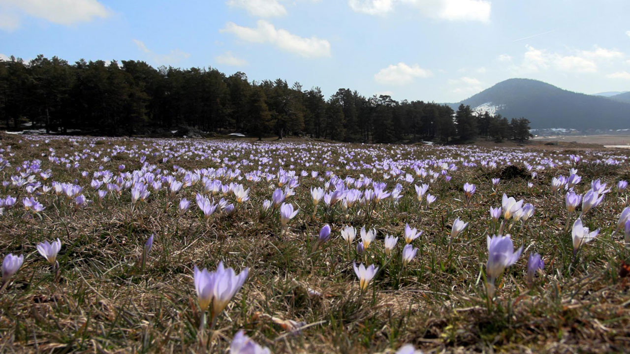 Beyazla mavinin buluştuğu yer! Sarıalan Yaylası’nda büyüleyen manzara
