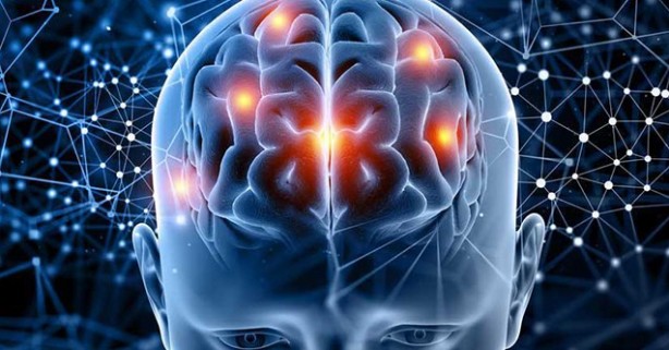 Foto - Beyin fonksiyonlarına zirve yaptıran 10 besin