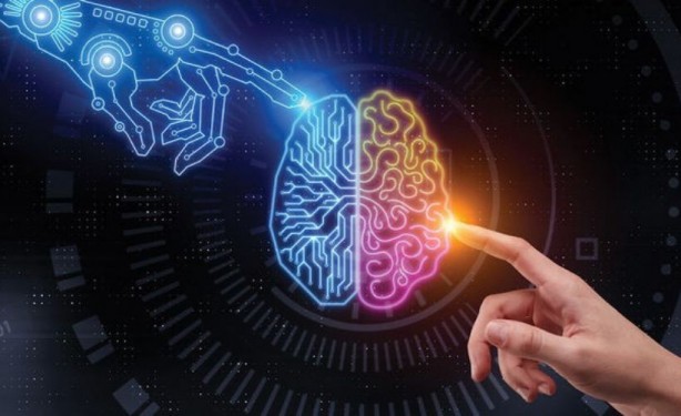 Foto - Beyin fonksiyonlarına zirve yaptıran 10 besin