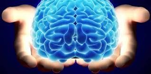 Foto - Beyin gücünüzü arttırmak mümkün!