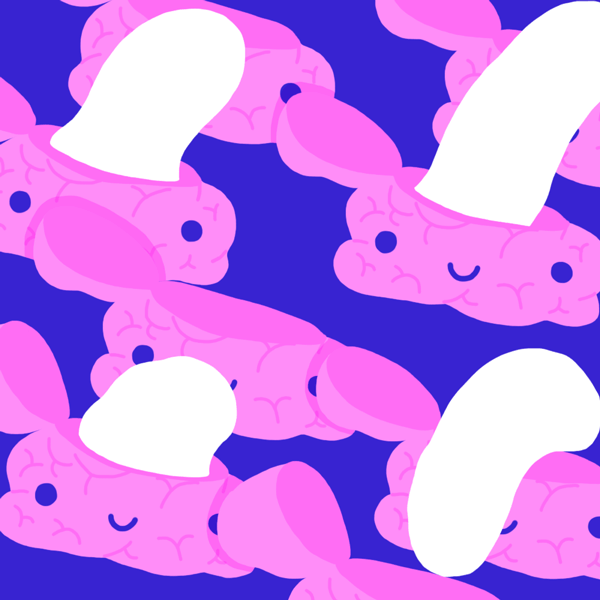 Foto - Beyin hakkında doğru bilinen yanlışlar