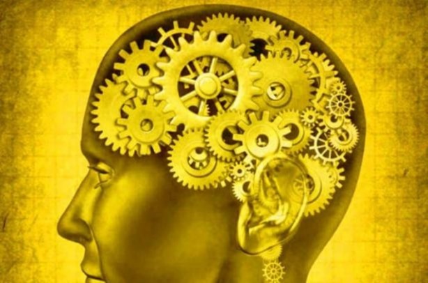 Foto - Beyin hakkındaki ilginç gerçekler!