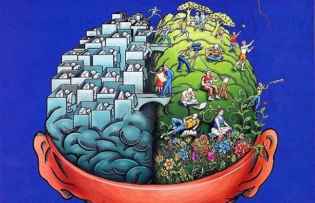 Foto - Beyin hakkındaki ilginç gerçekler!