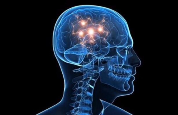 Foto - Beyin hakkındaki ilginç gerçekler!